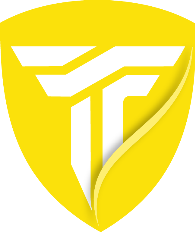 TrueFin logo